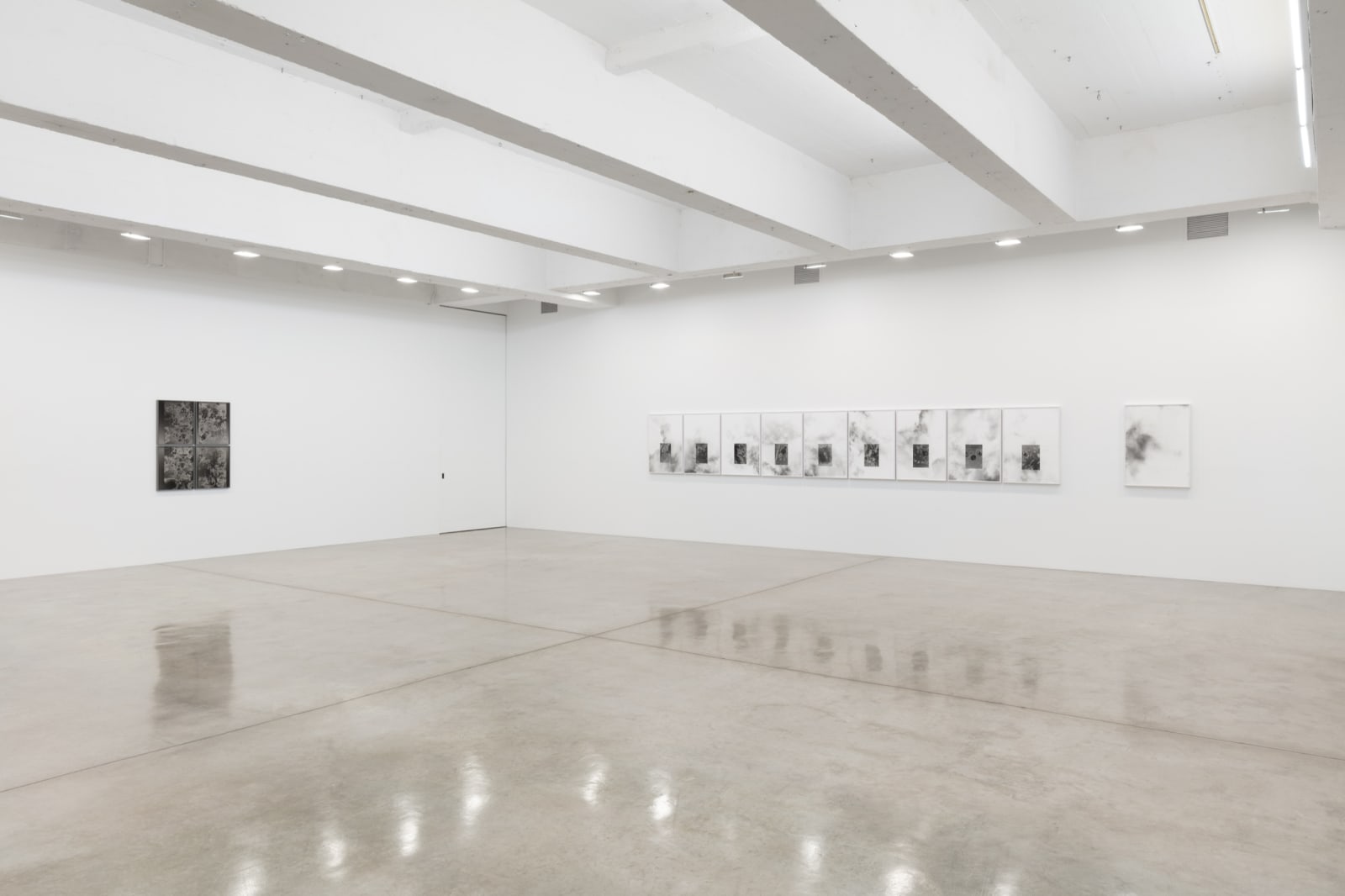 Lisa Oppenheim's installation view.