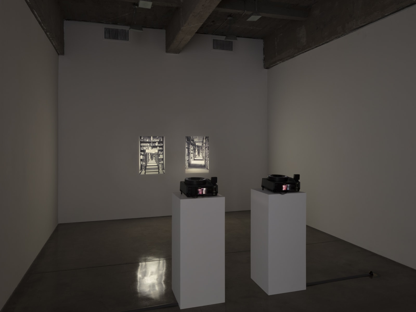 Lisa Oppenheim's installation view.