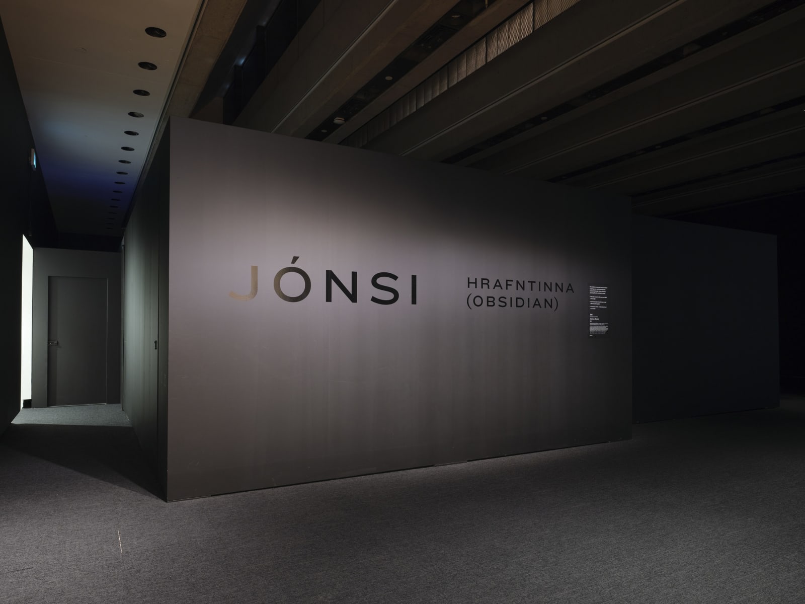 Installation view at Art Gallery of Ontario, Toronto