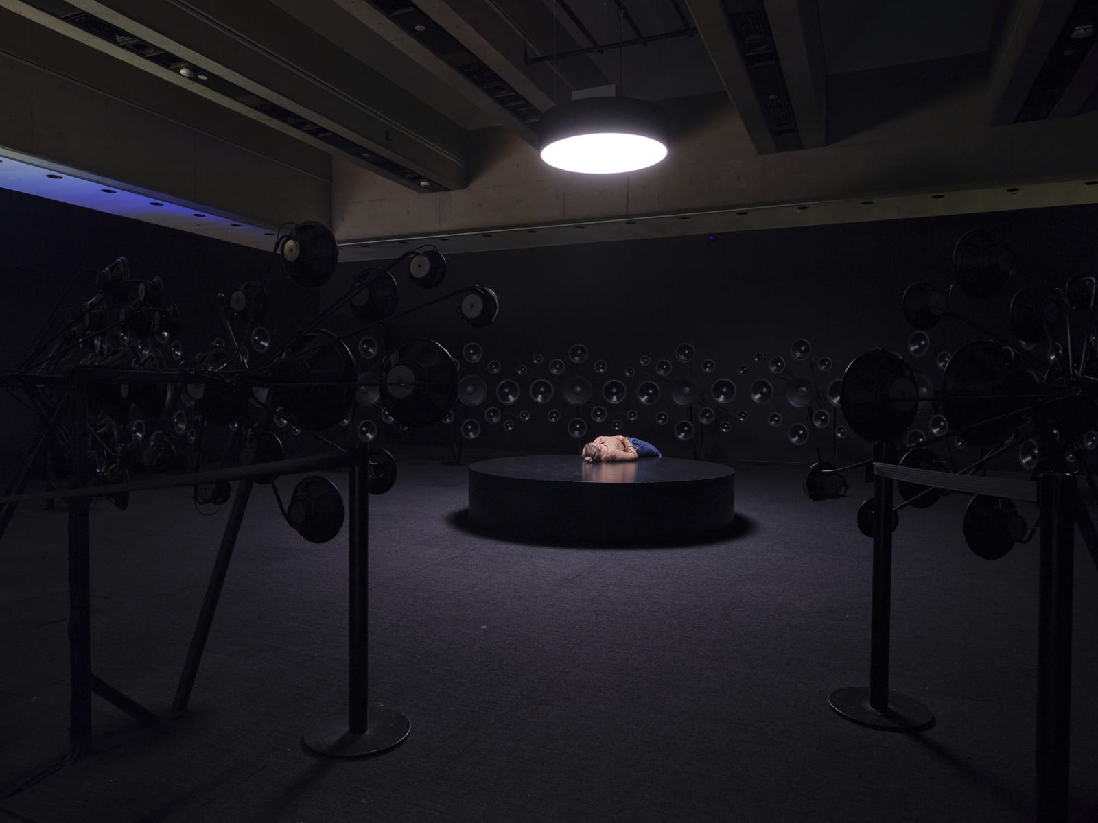 Installation view at Art Gallery of Ontario, Toronto