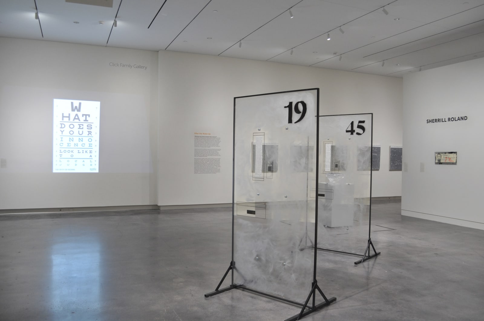 Installation view of Sherrill Roland: Sugar, Water, Lemon Squeeze at the Asheville Art Museum, Asheville, NC. Image courtesy of the Asheville Art Museum.
