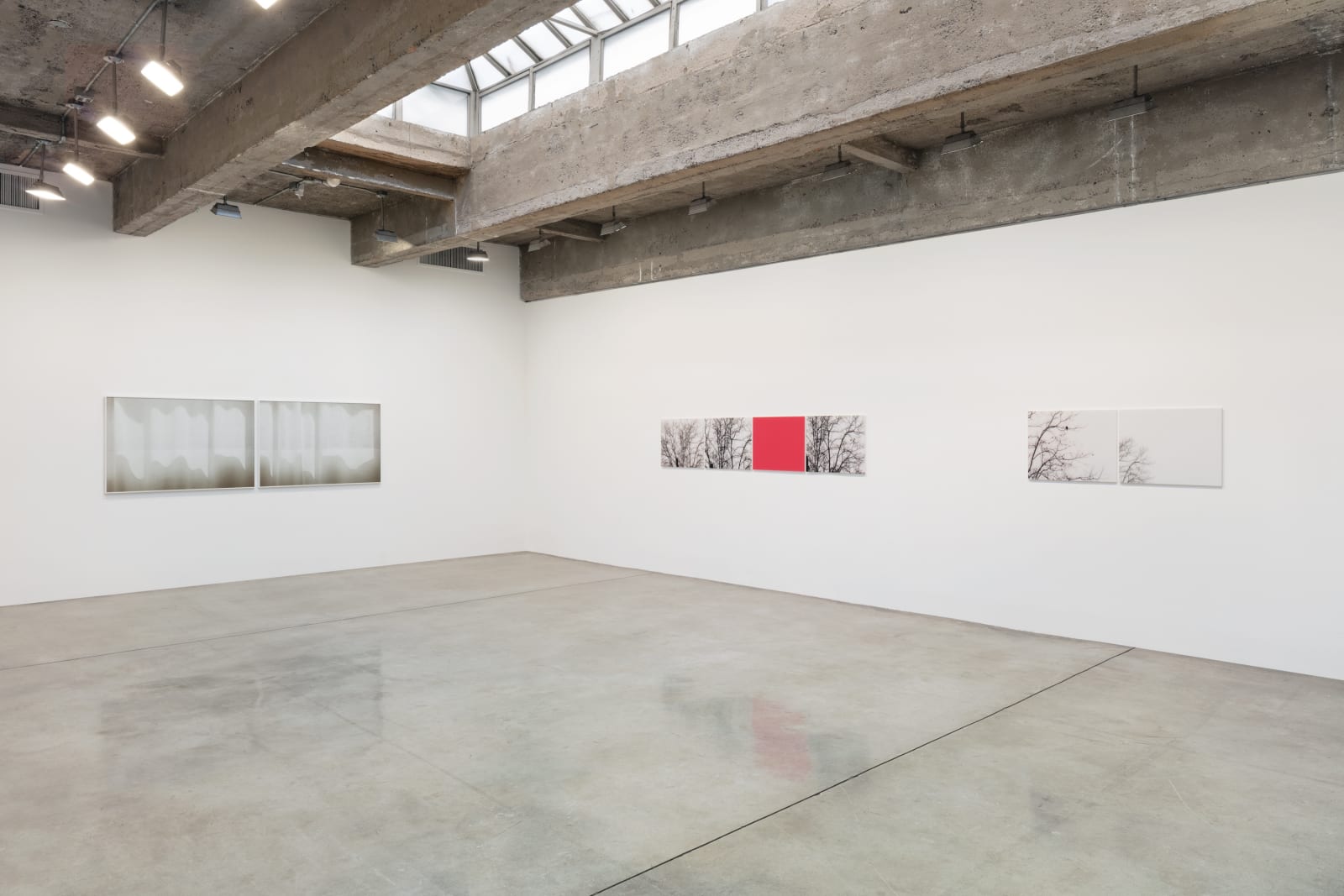 Uta Barth installation image.
