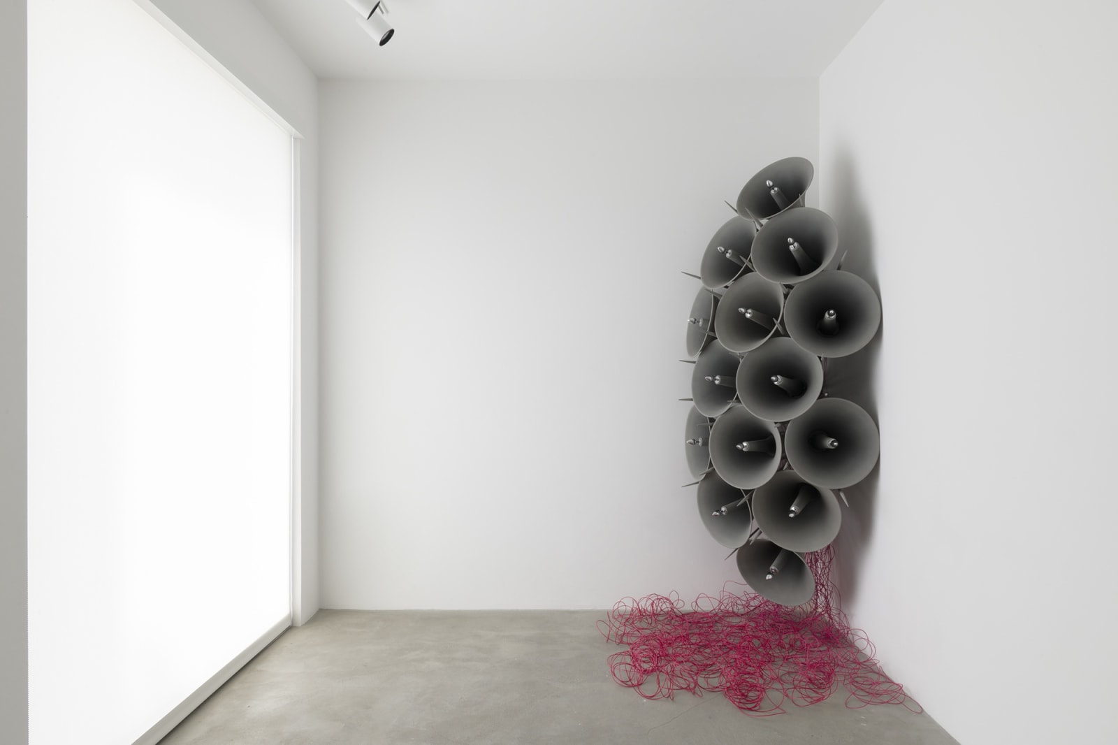 Jónsi, Í blóma (In bloom), 2019