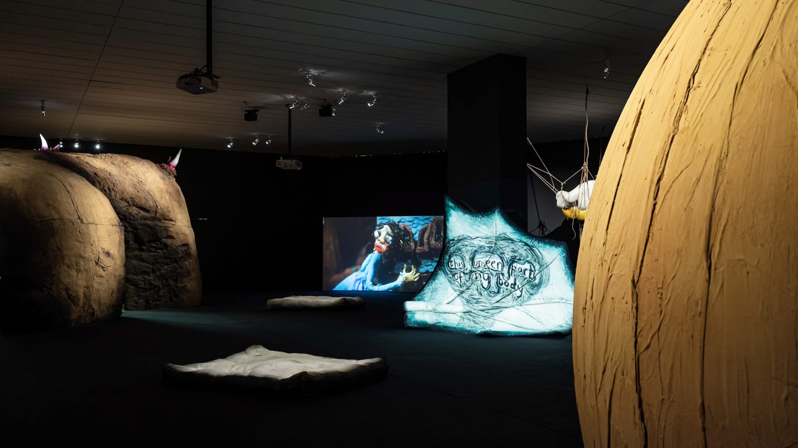 Installation image of Nathalie Djurberg & Hans Berg: The Skin is a Thin Container.