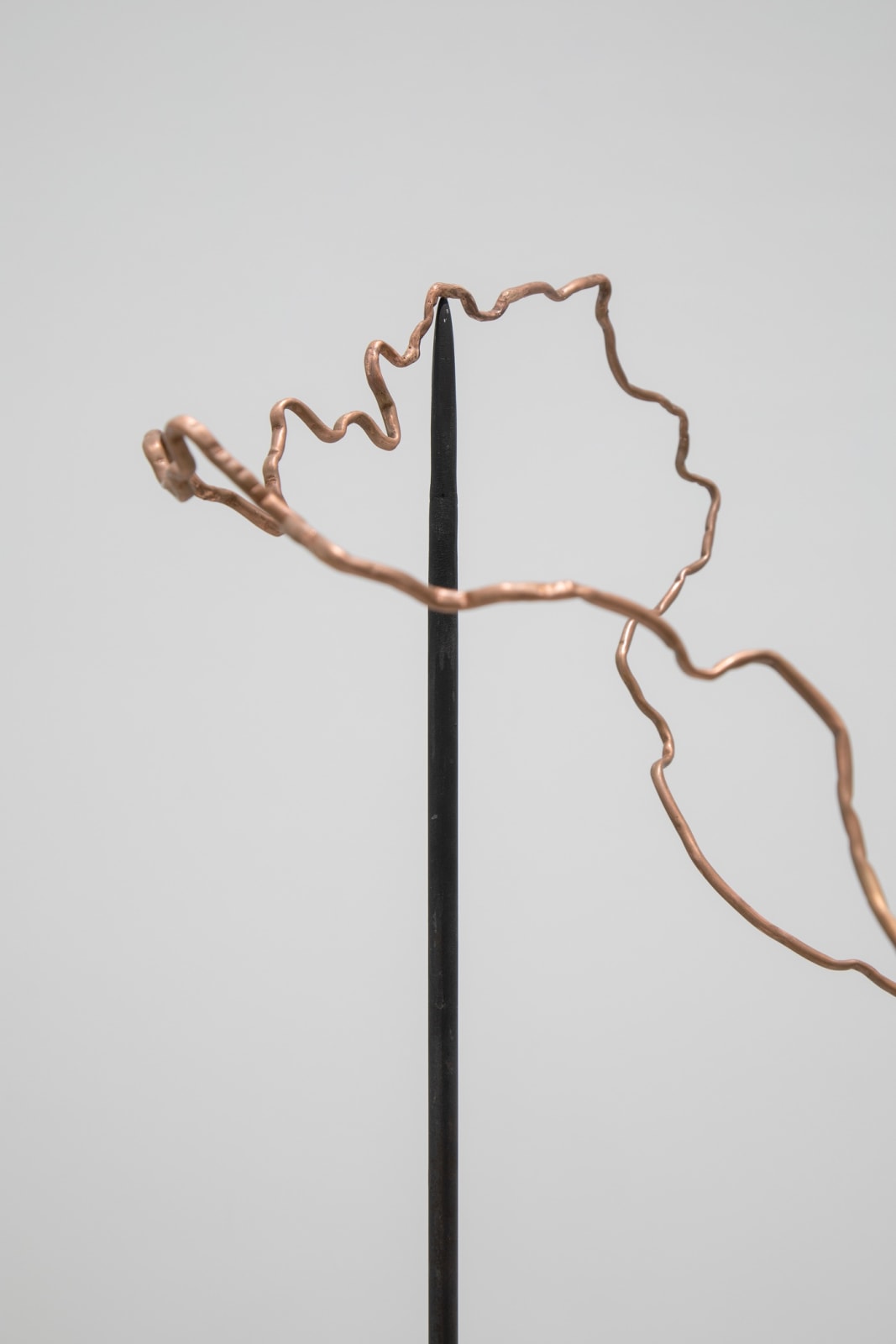Installation image of Shilpa Gupta & Marisa Merz: visibileinvisibile