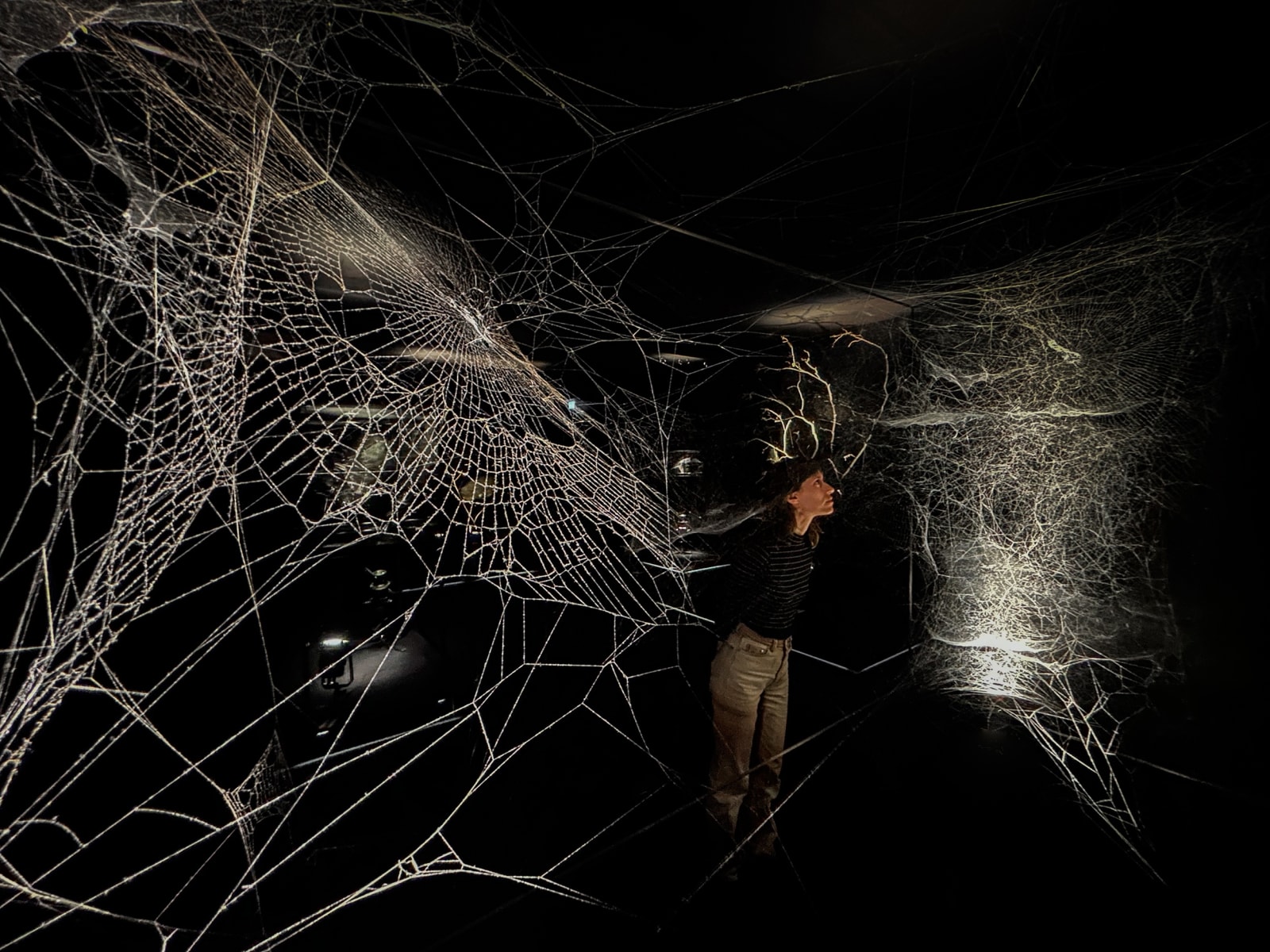 saraceno installation image