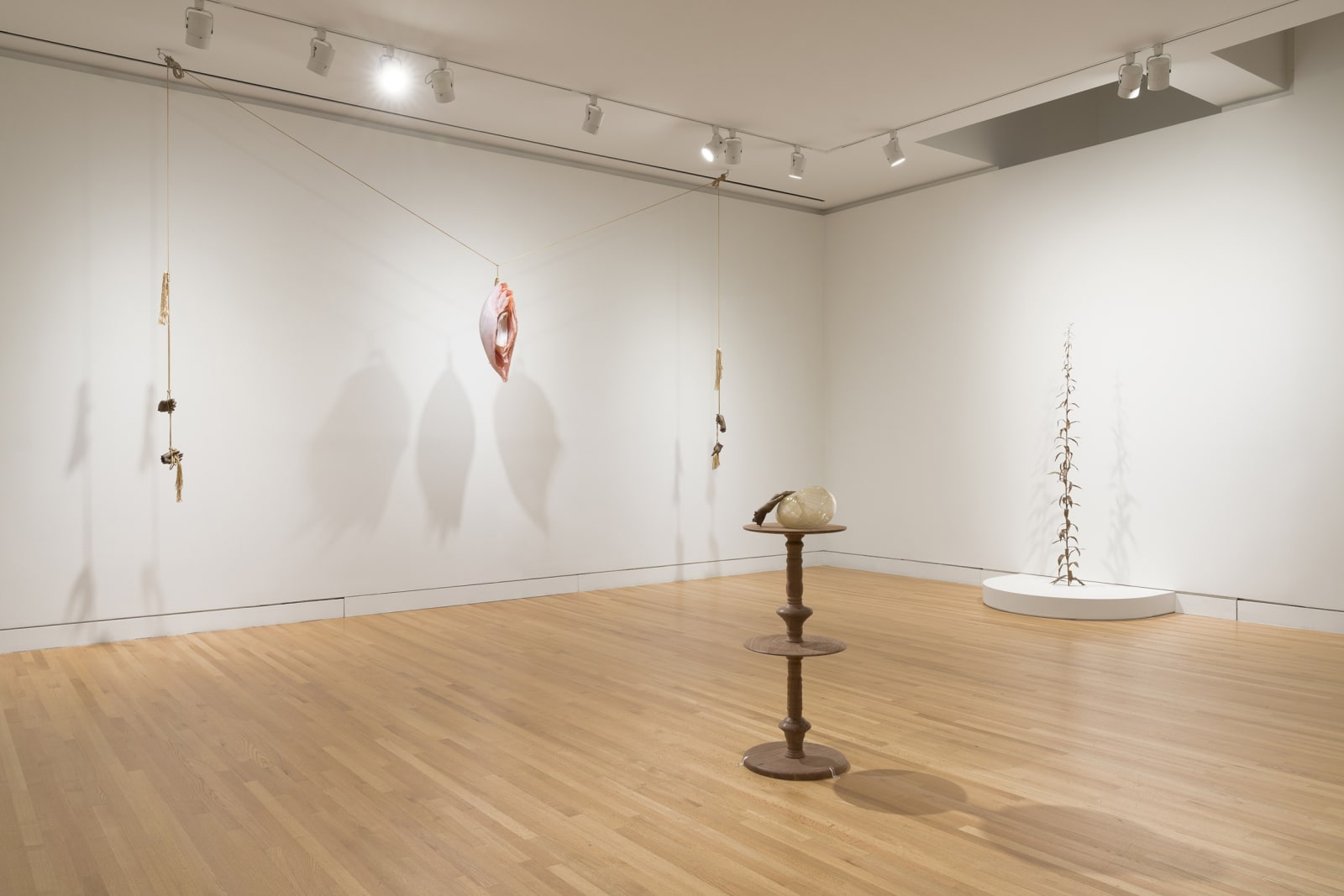 a group of earth colored sculptures within a gallery with white walls and wood floors