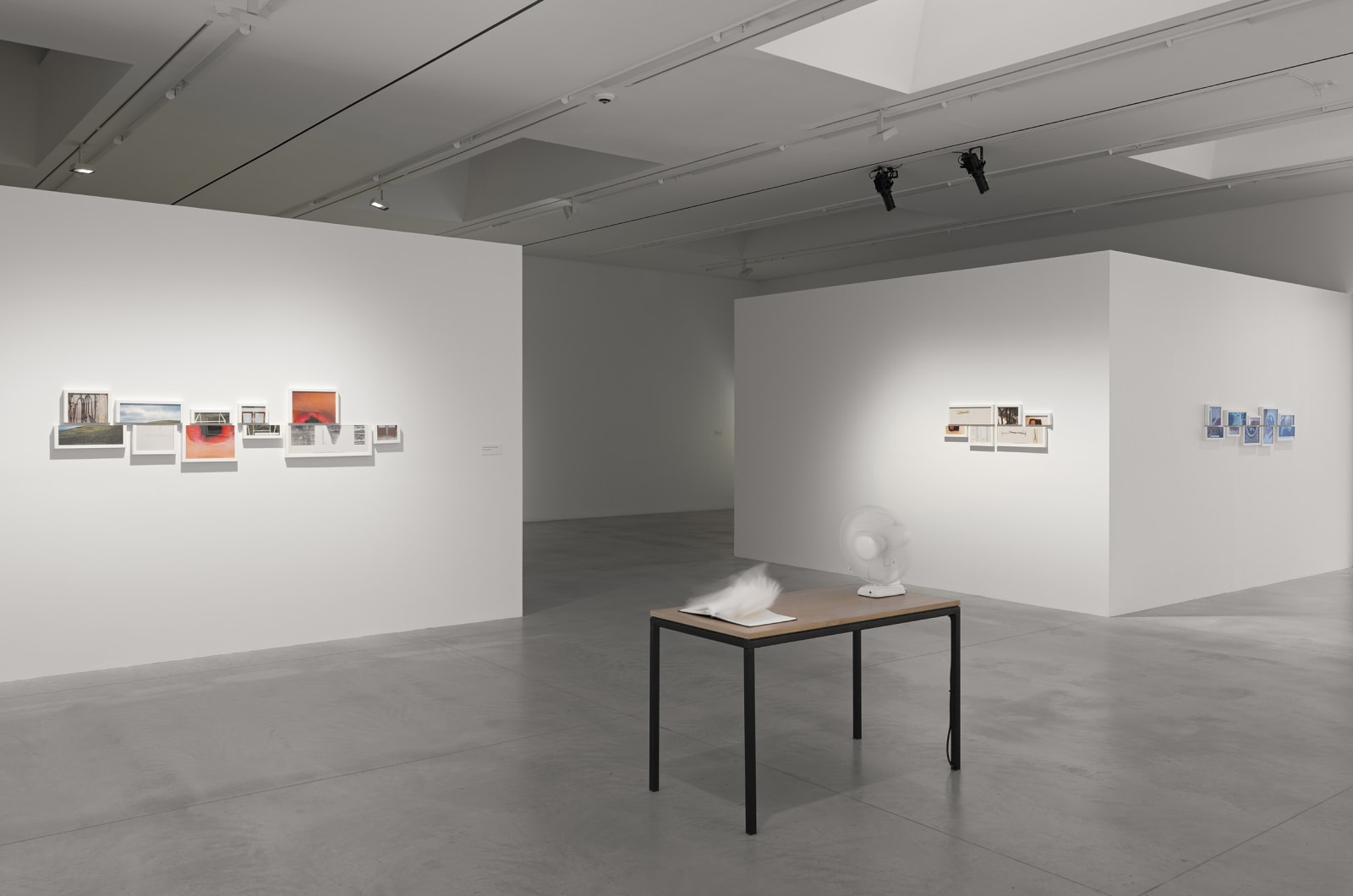 Shilpa Gupta installation images from Amant Brooklyn New York.