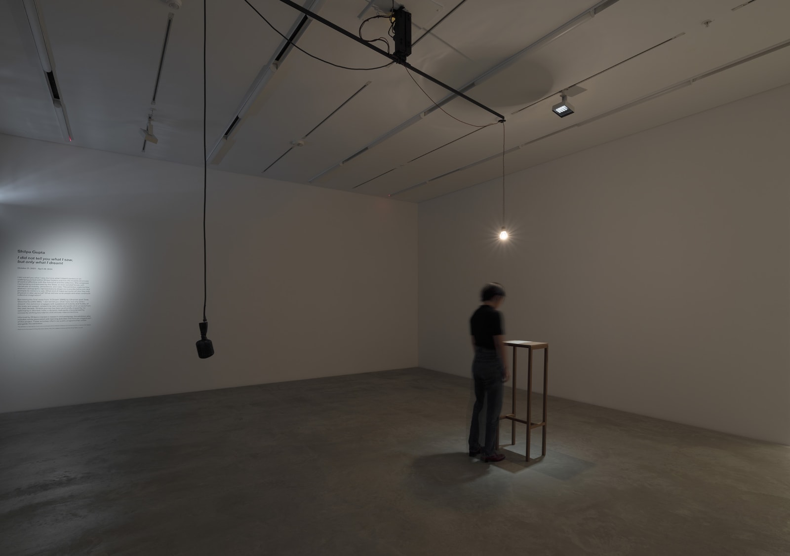 Shilpa Gupta installation images from Amant Brooklyn New York.