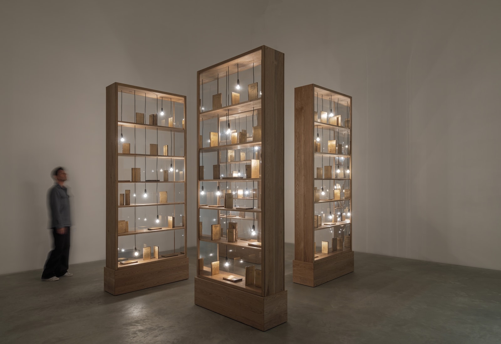 Shilpa Gupta installation images from Amant Brooklyn New York.