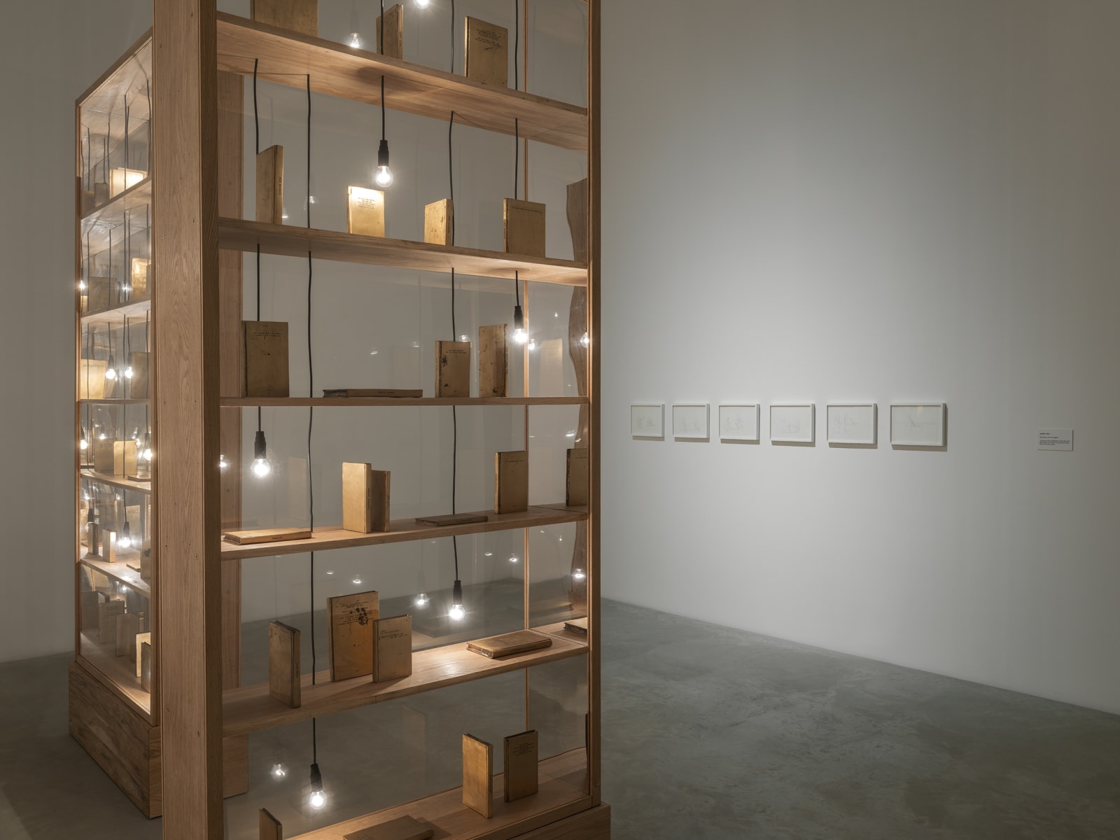 Shilpa Gupta installation images from Amant Brooklyn New York.