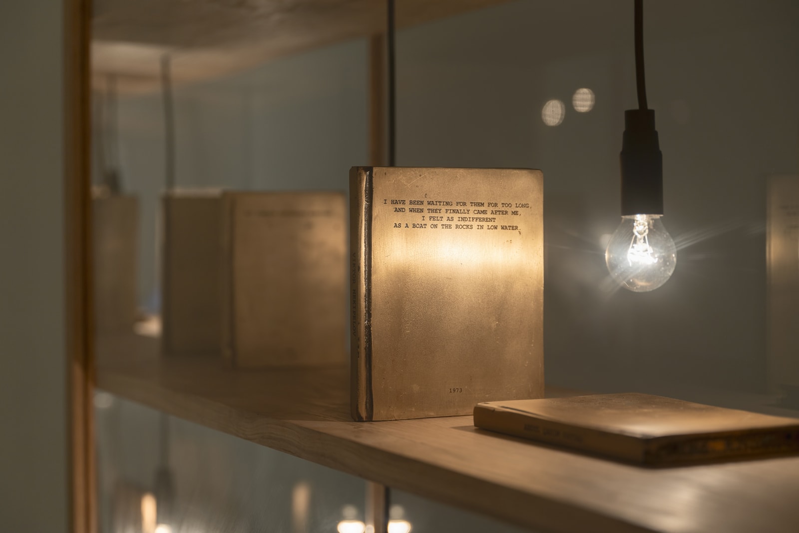 Shilpa Gupta installation images from Amant Brooklyn New York.