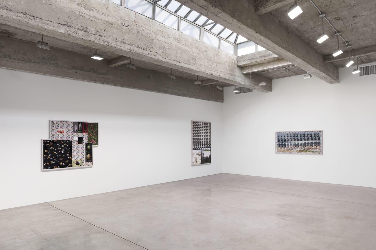 Shiyuan photography installation