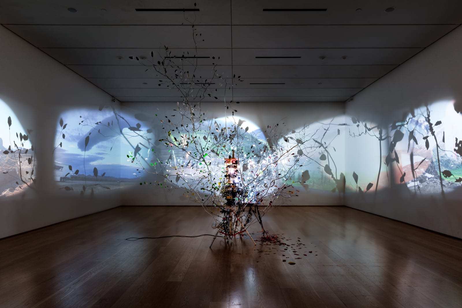 Sarah Sze installation image at Nasher Sculpture Center, Dallas, 2024.