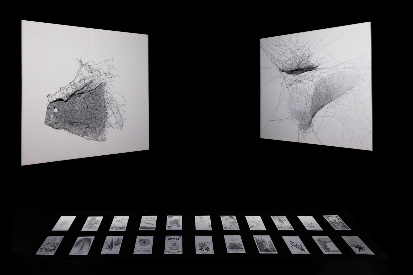 Installation view of Tomás Saraceno: Complementarities at Red Brick museum.