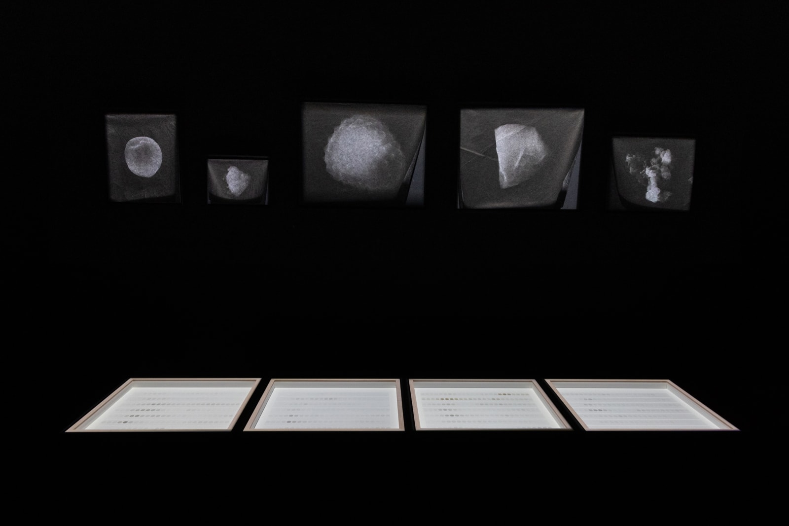 Installation view of Tomás Saraceno: Complementarities at Red Brick museum.