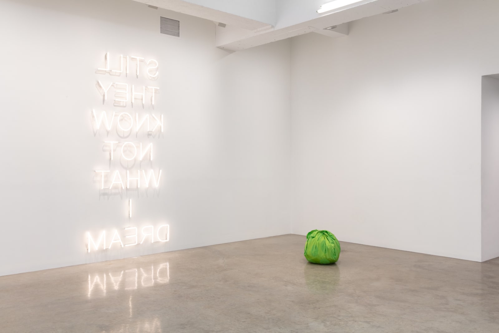 THE OBJECTS WE CHOOSE, CURATED BY PEDRO ALONZO installation images