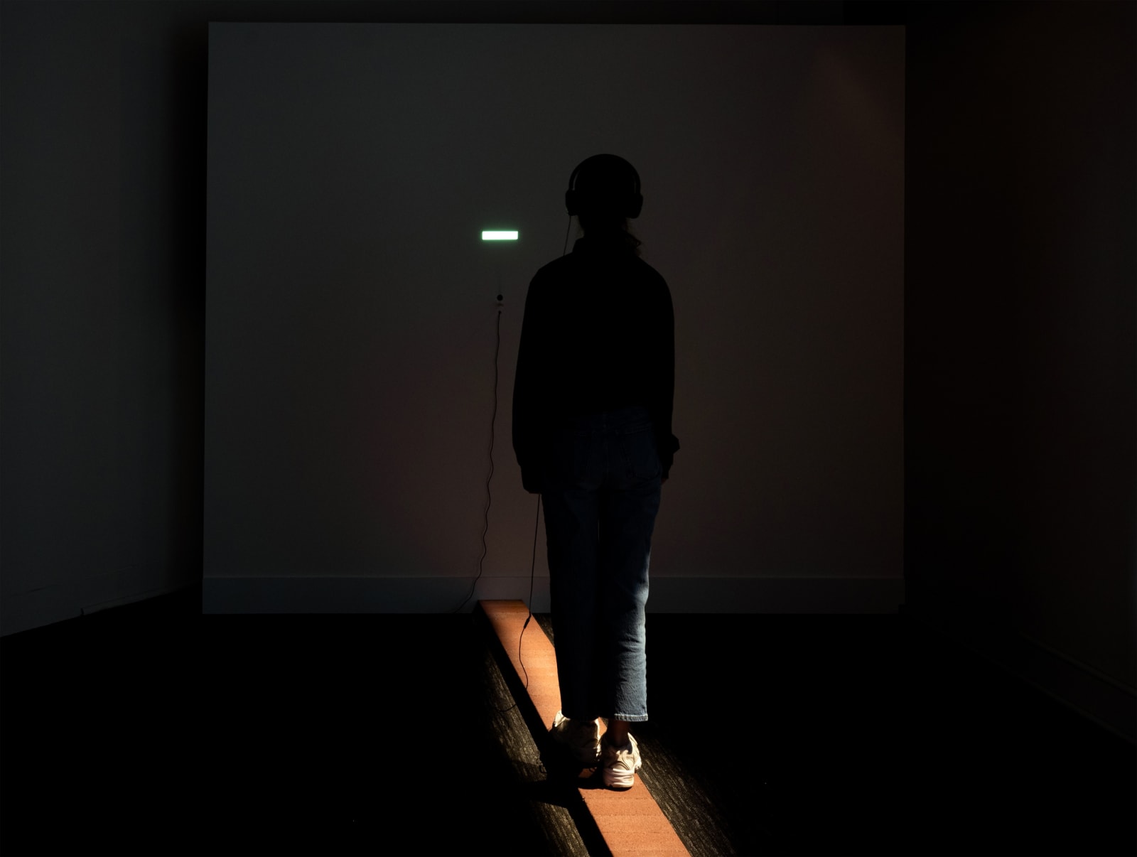 Installation view Shilpa Gupta: I did not tell you what I saw, but only what I dreamt.