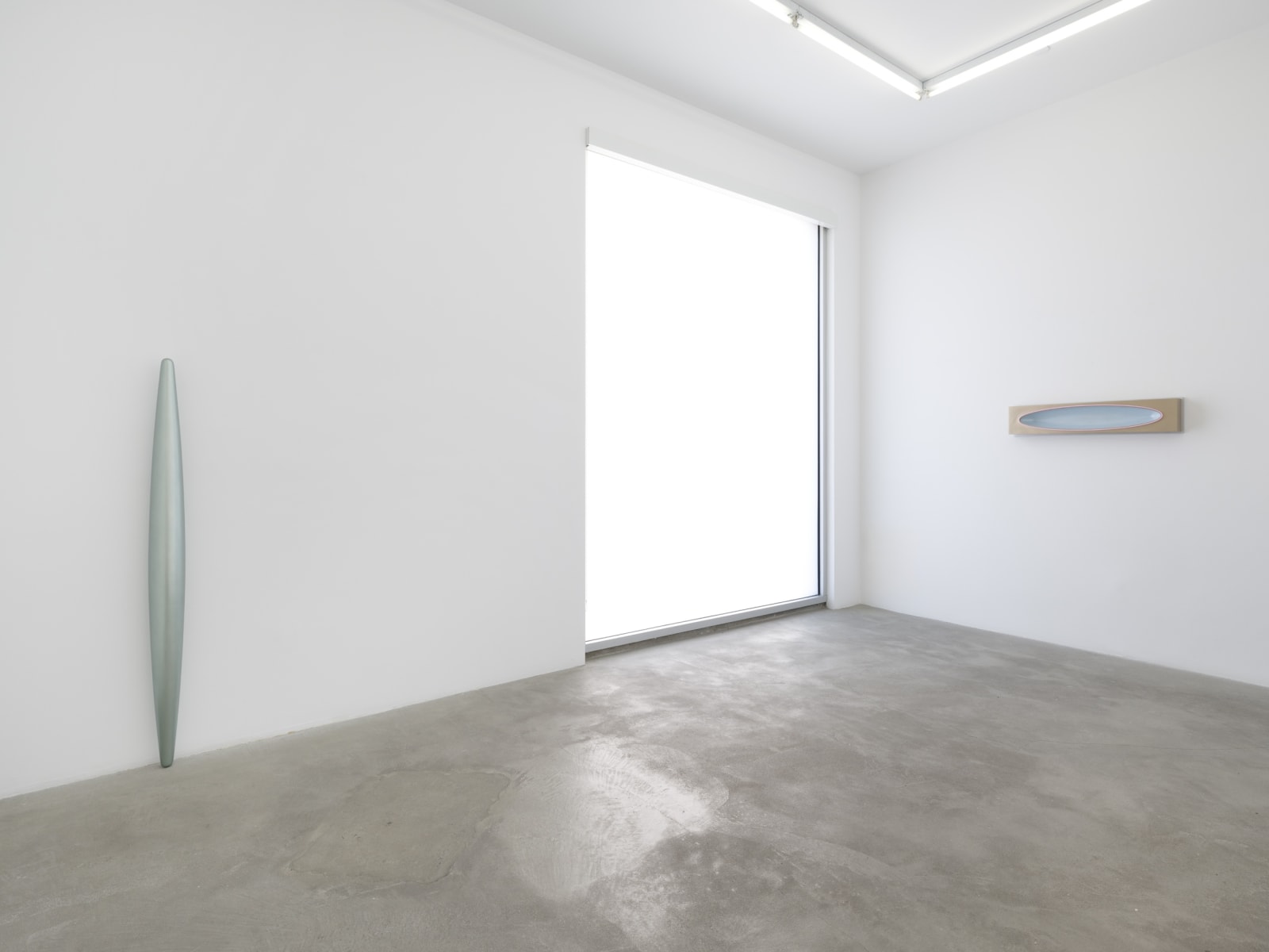 Lisa Williamson's installation view at TBG LA.