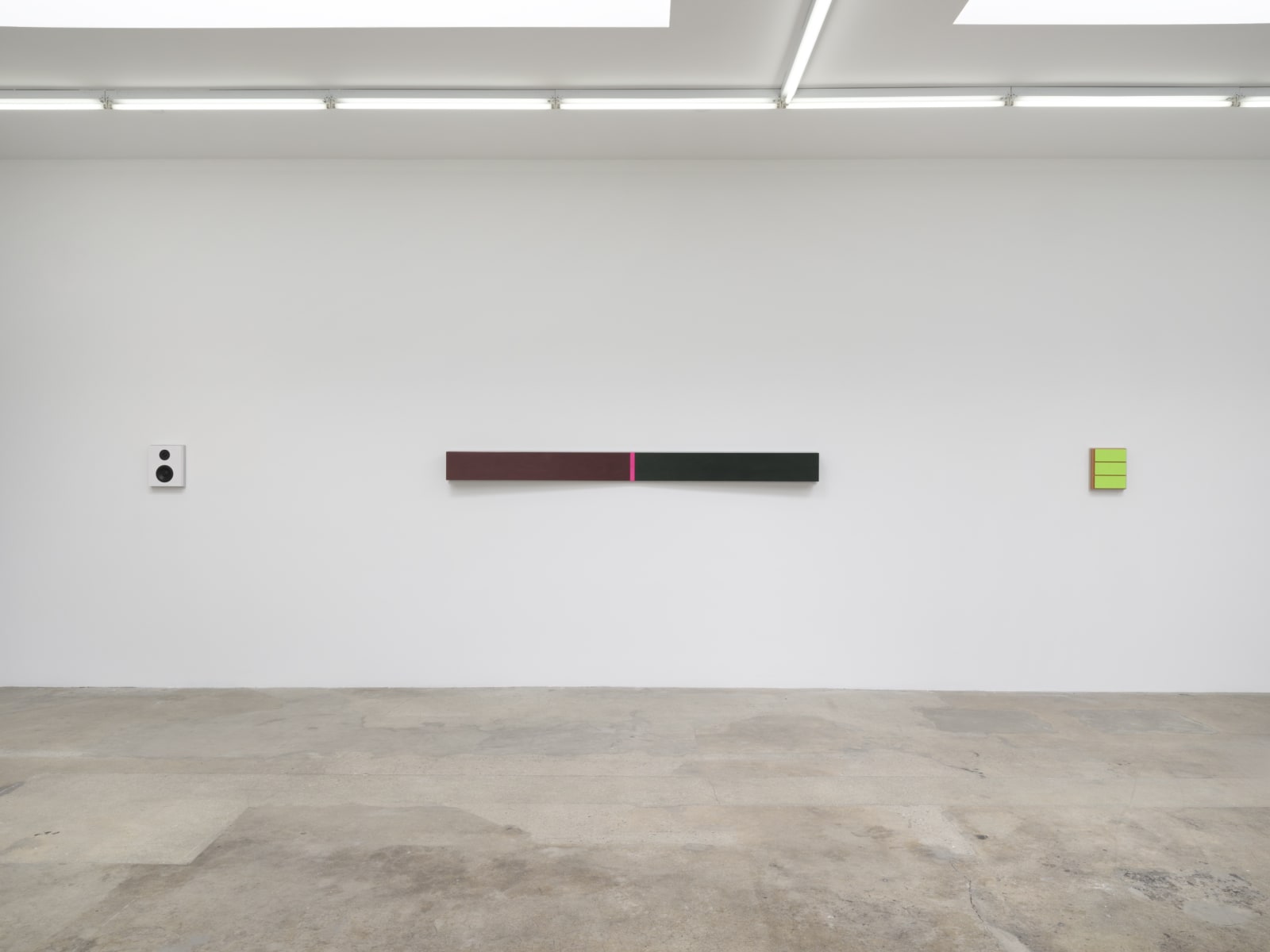 Lisa Williamson's installation view at TBG LA.