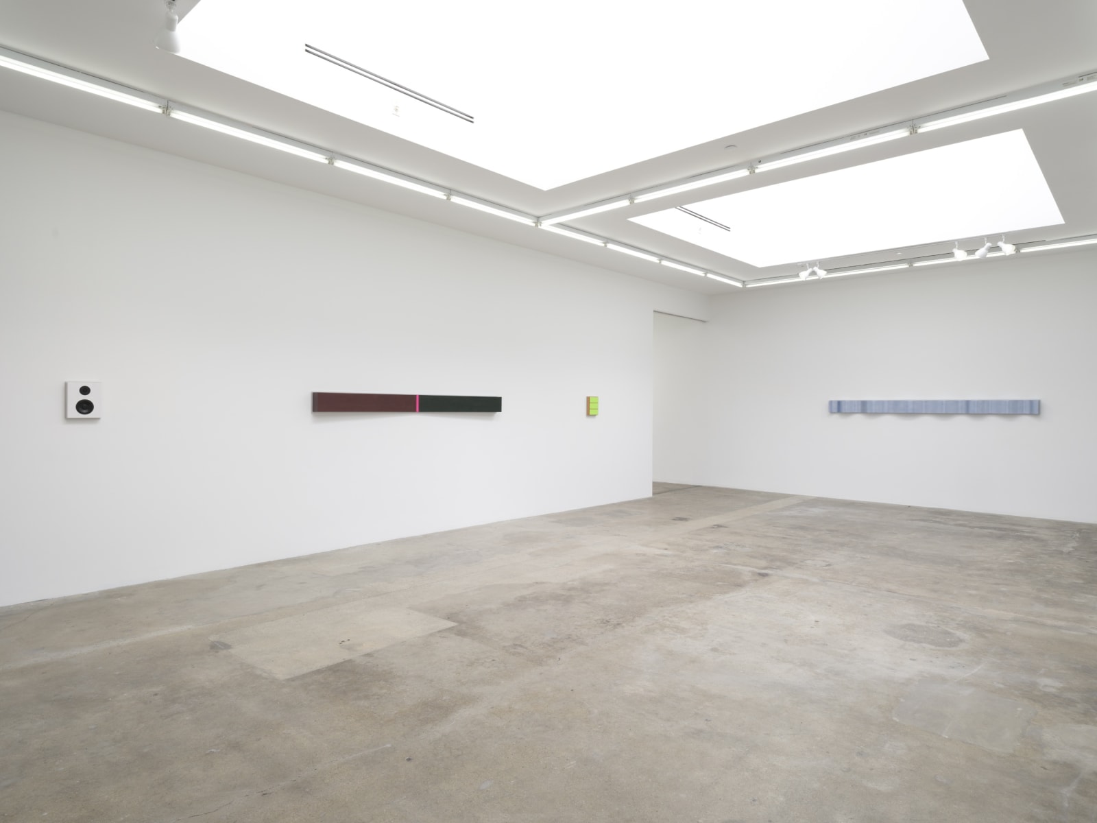 Lisa Williamson's installation view at TBG LA.