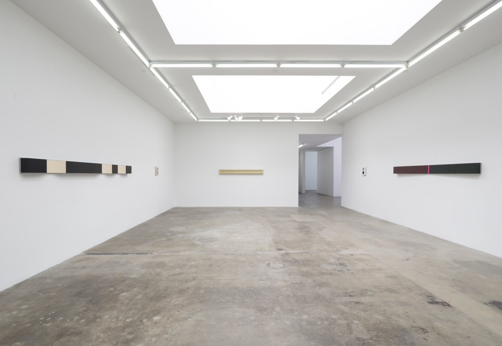 Lisa Williamson's installation view at TBG LA.