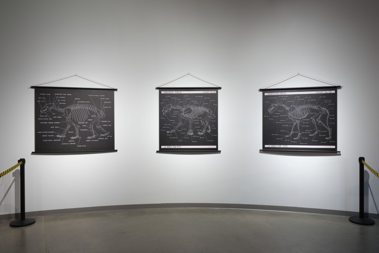 Installation image of Mark Dion: Excavations.