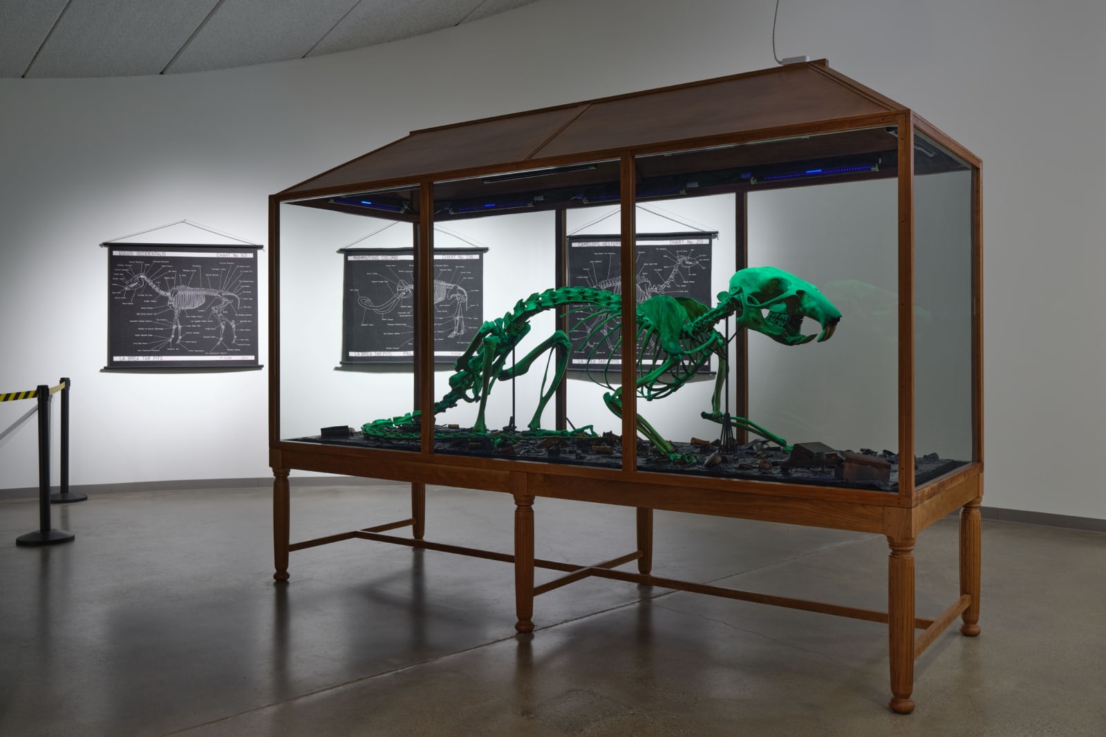 Installation image of Mark Dion: Excavations.