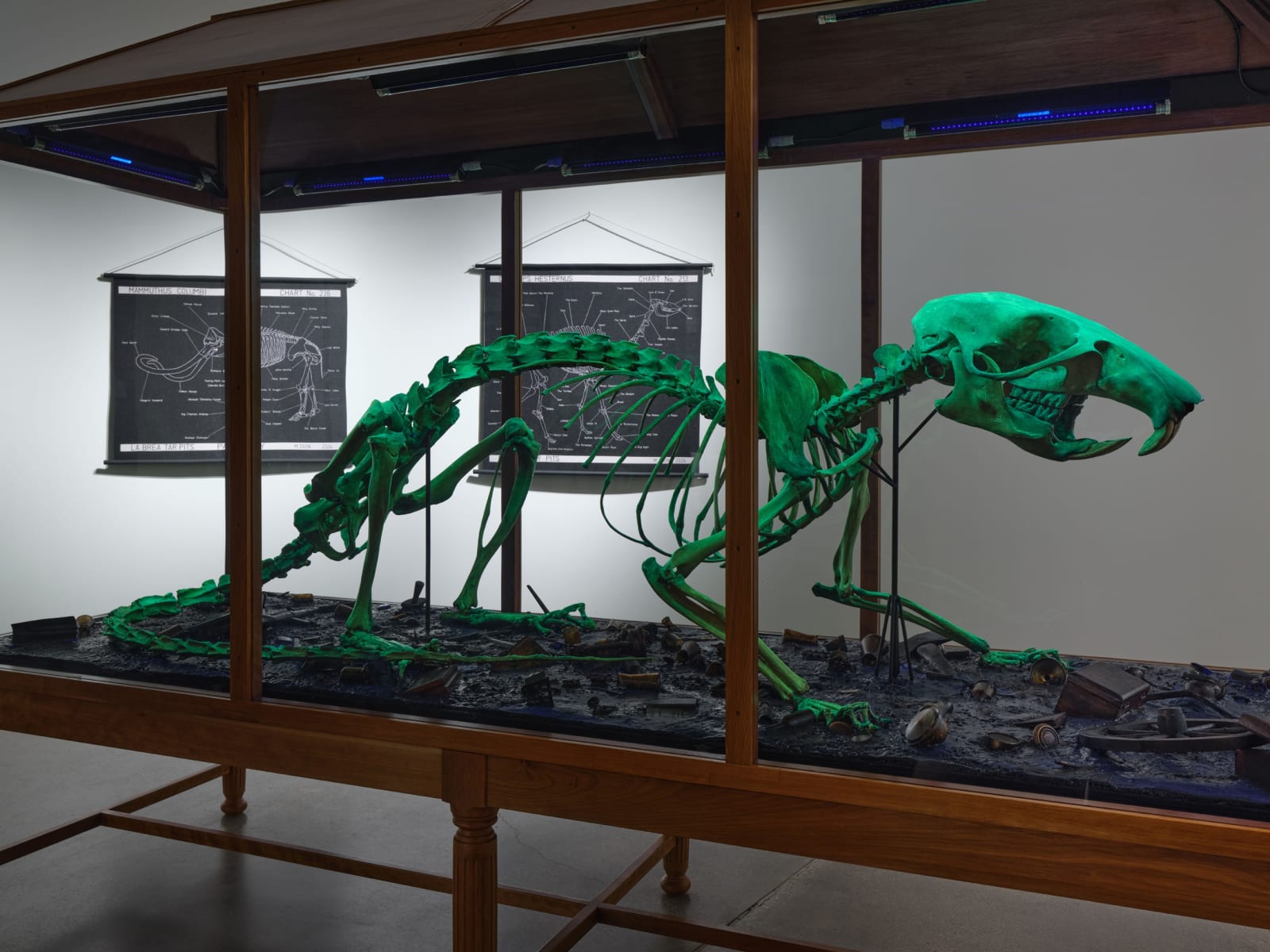 Installation image of Mark Dion: Excavations.