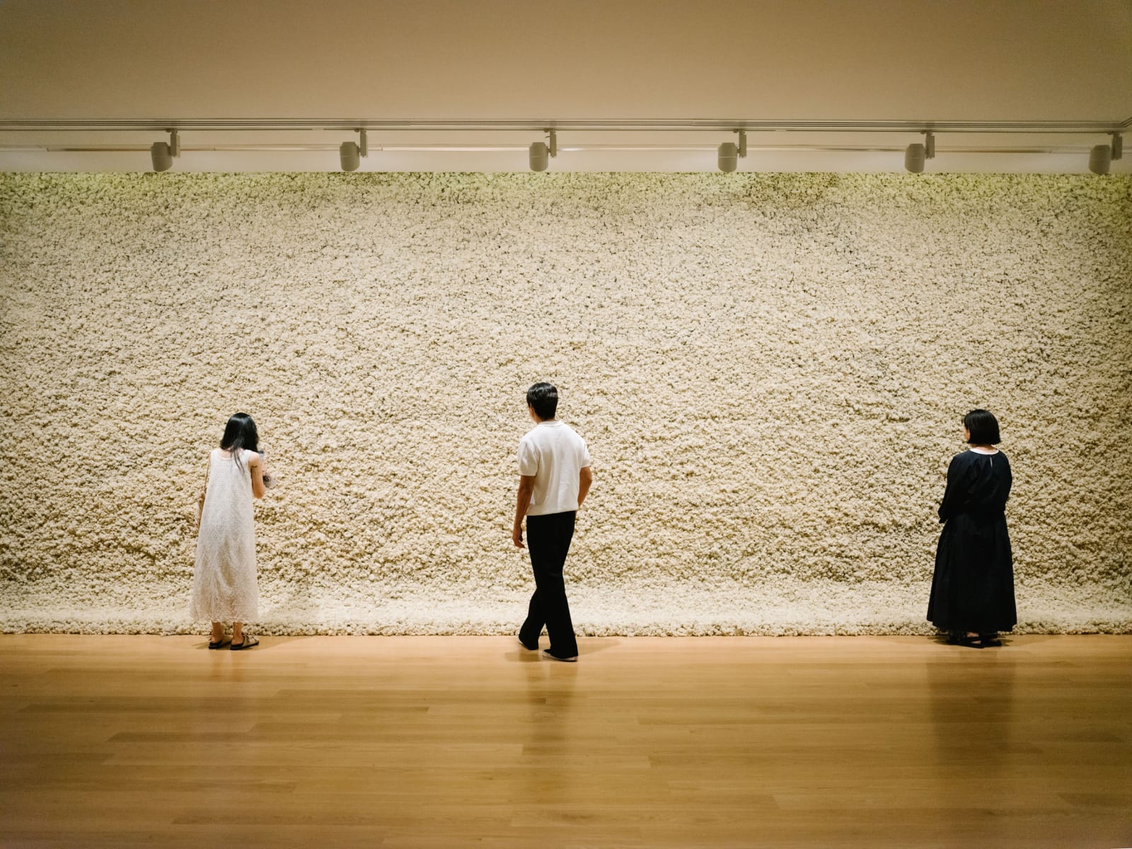 Installation view: Olafur Eliasson: Your curious journey, Auckland Art Gallery Toi o Tāmaki, 2024
