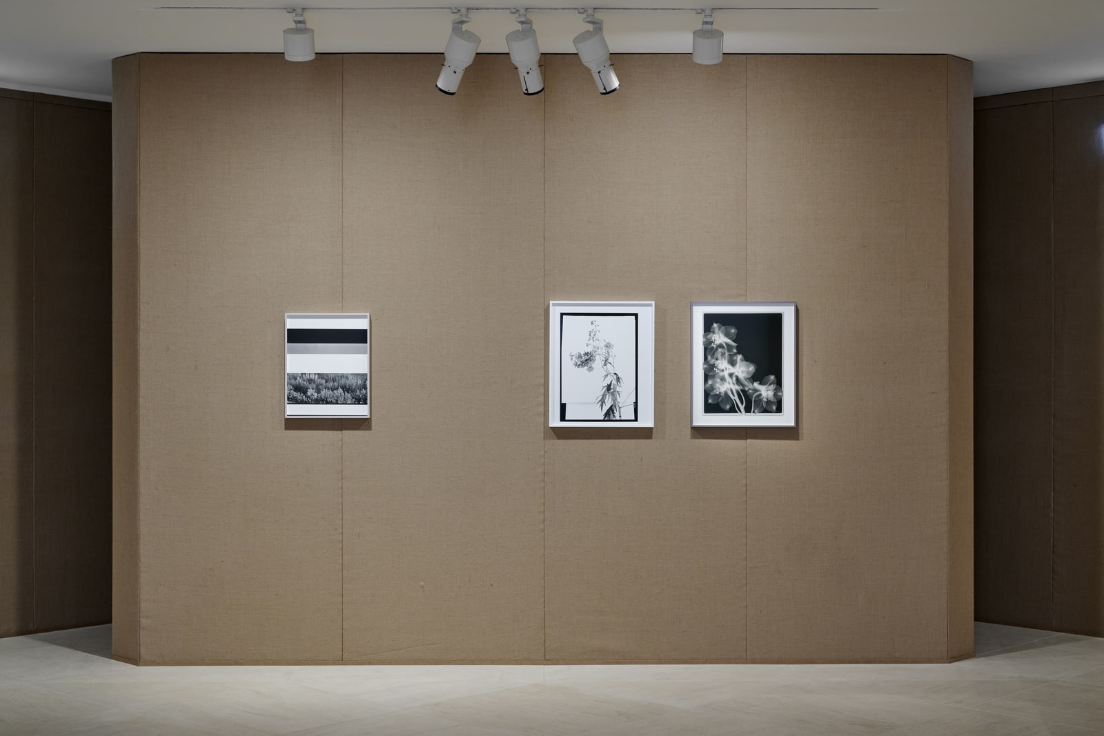 Installation image of Lisa Oppenheim, Monsieur Steichen, 2025.