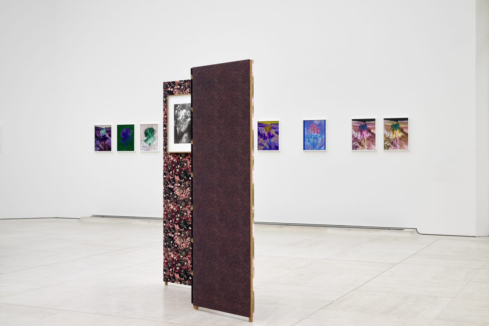 Installation image of Lisa Oppenheim, Monsieur Steichen, 2025.