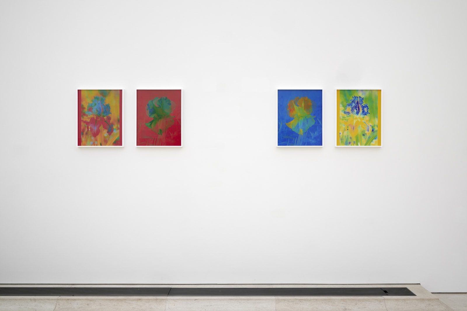 Installation image of Lisa Oppenheim, Monsieur Steichen, 2025.