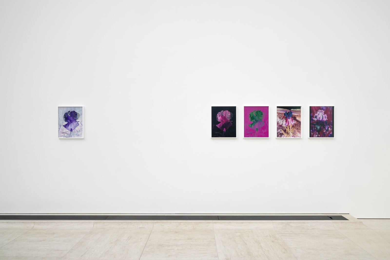 Installation image of Lisa Oppenheim, Monsieur Steichen, 2025.