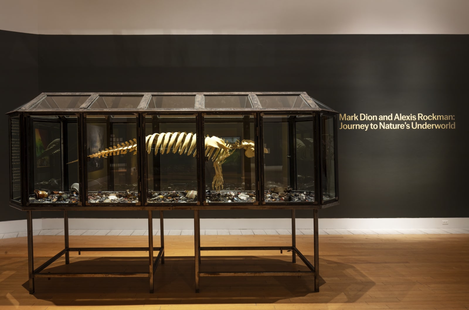 Installation of Mark Dion and Alexis Rockman: Journey to Nature's Underworld at the Lowe Art Museum, University of Miami.