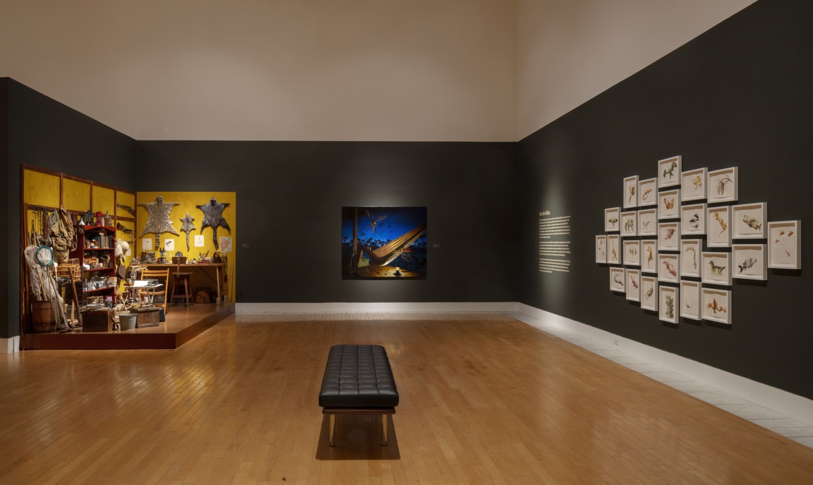 Installation of Mark Dion and Alexis Rockman: Journey to Nature's Underworld at the Lowe Art Museum, University of Miami.