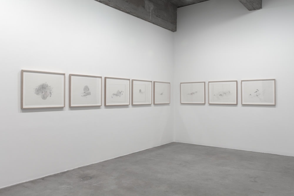 Cinto installation - blue painting and drawings