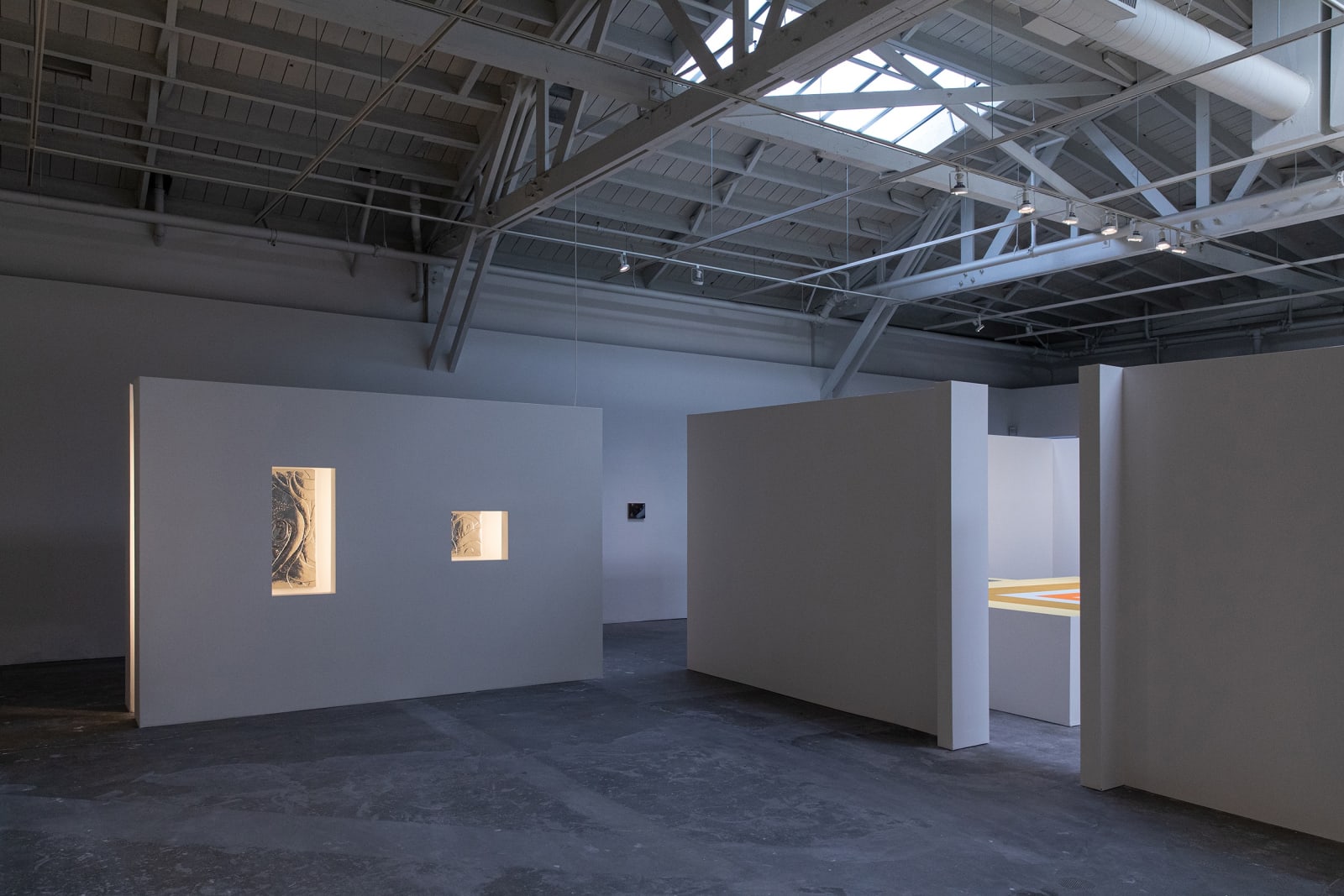 Installation view of with what eyes? Curated by Diego Villalobos CCA Wattis Institute, San Francisco.