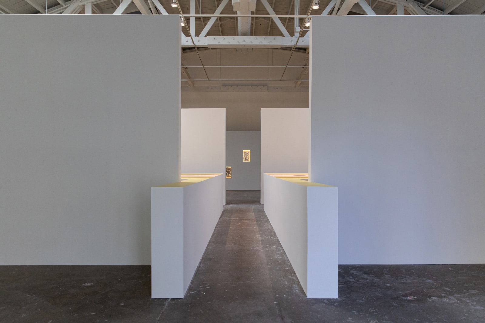Installation view of with what eyes? Curated by Diego Villalobos CCA Wattis Institute, San Francisco.