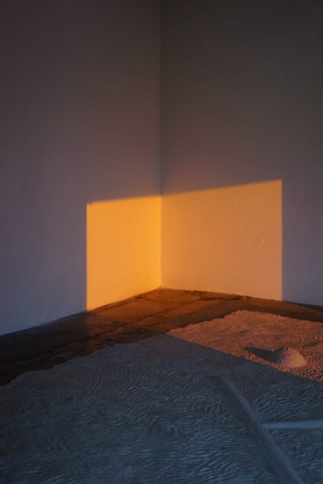 Installation view at Parallel Oaxaca, Mexico.