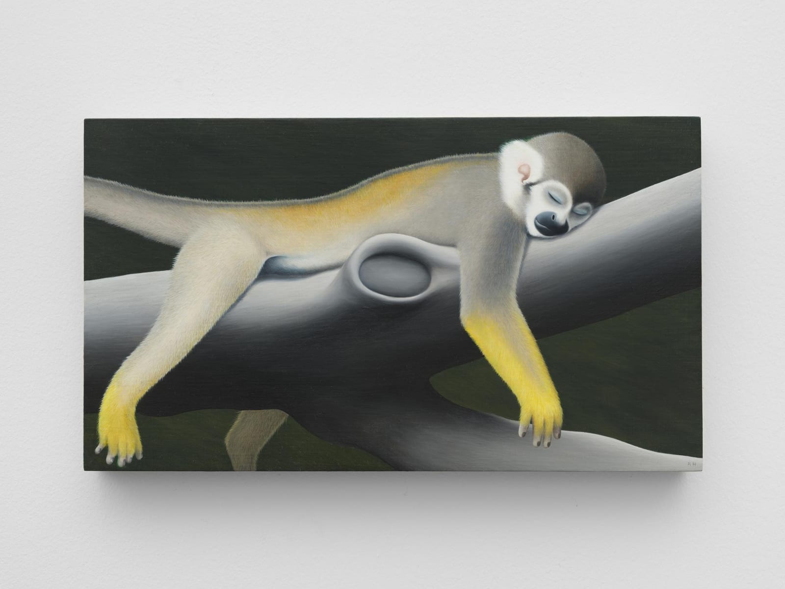 Image of Rodrigo Hernández: stars around this beautiful moon hide back their luminous form.