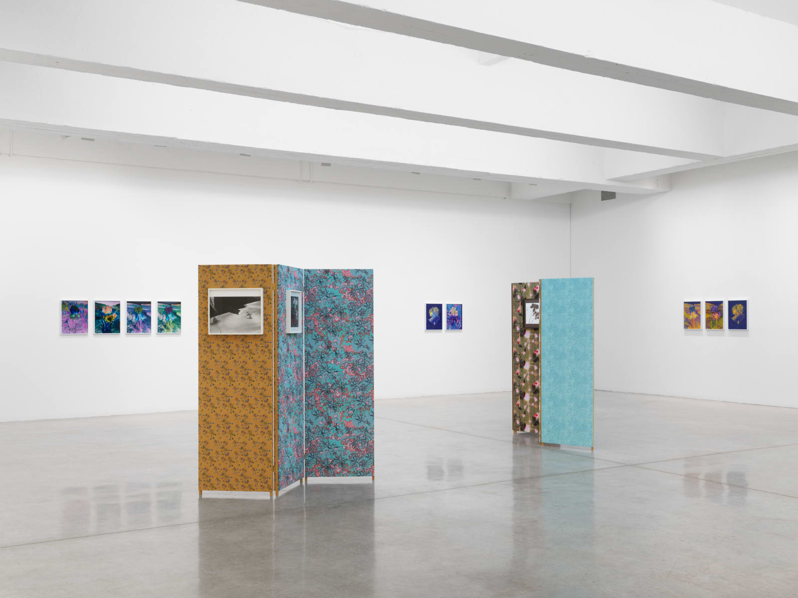 Lisa Oppenheim's installation images at TBG 2025.