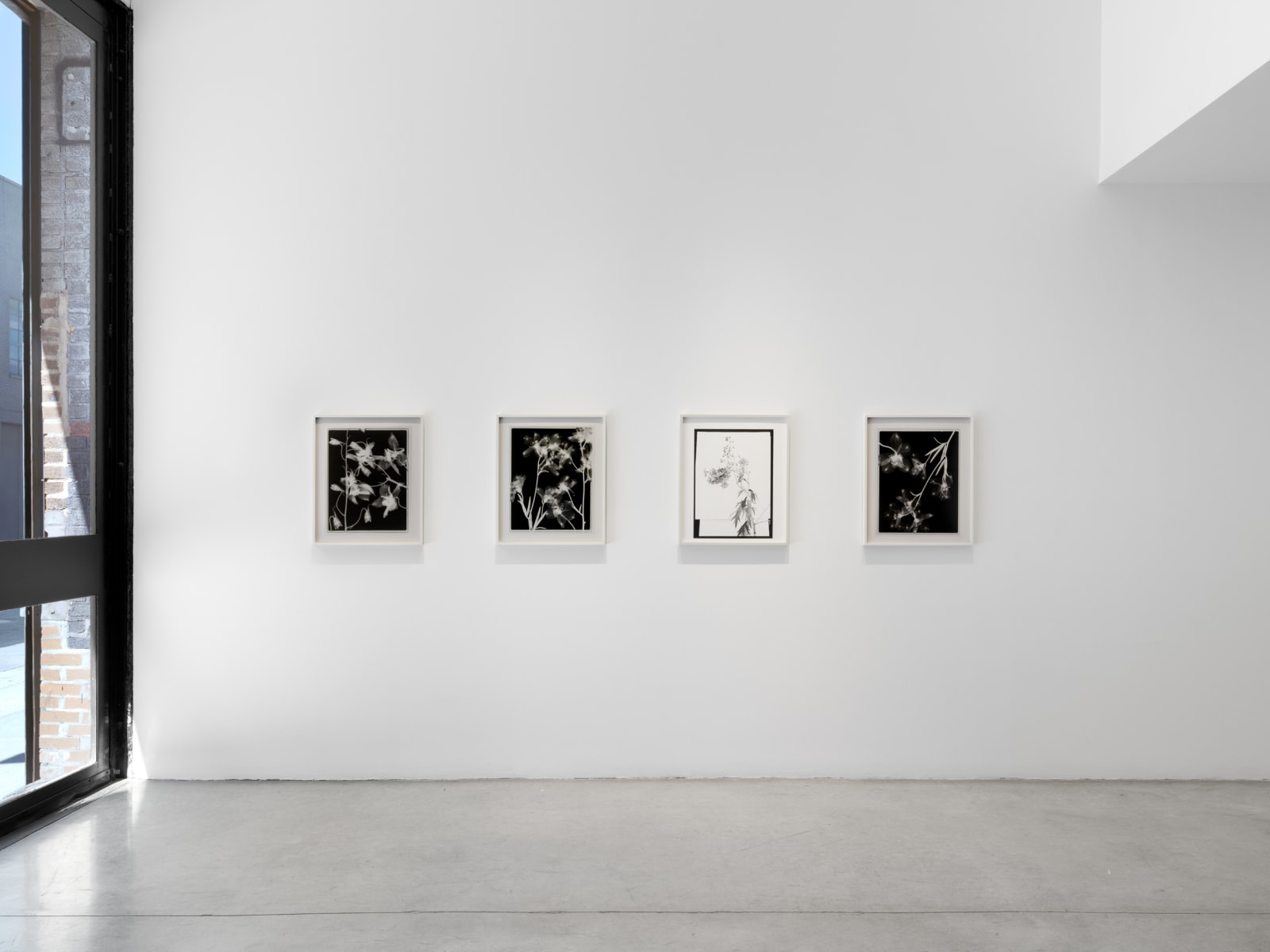 Lisa Oppenheim's installation images at TBG 2025.