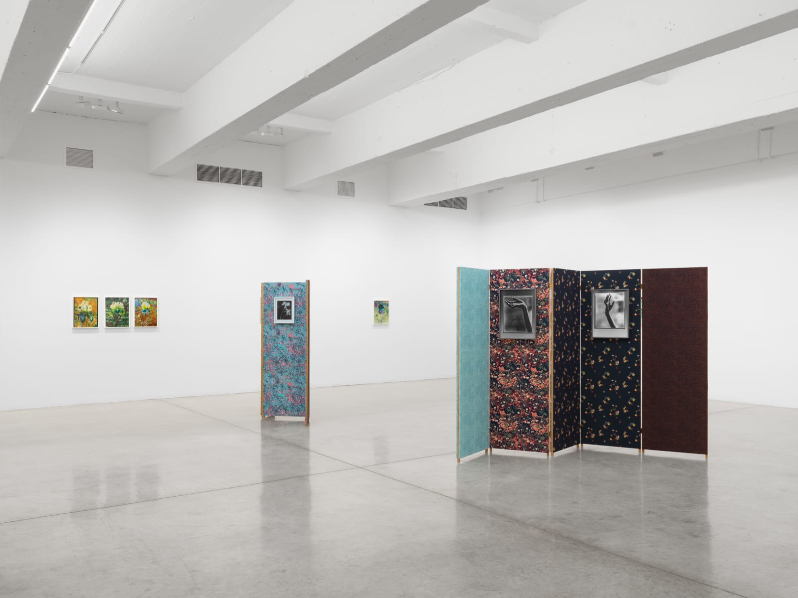Lisa Oppenheim's installation images at TBG 2025.