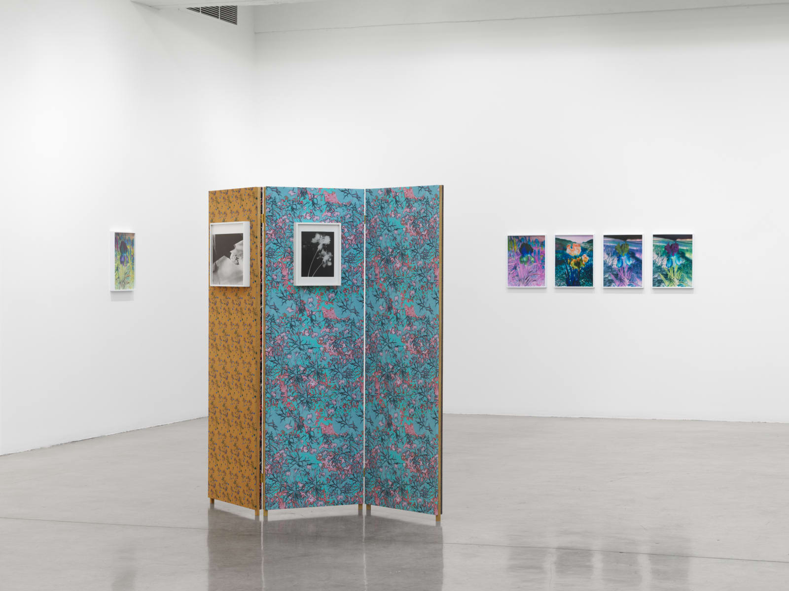 Lisa Oppenheim's installation images at TBG 2025.