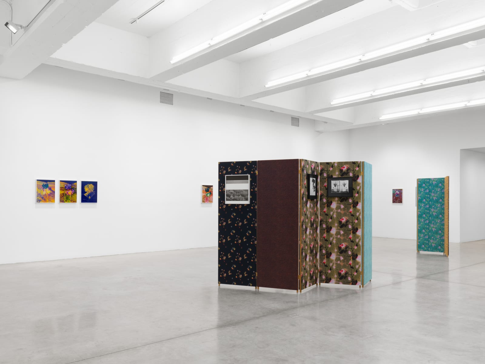 Lisa Oppenheim's installation images at TBG 2025.