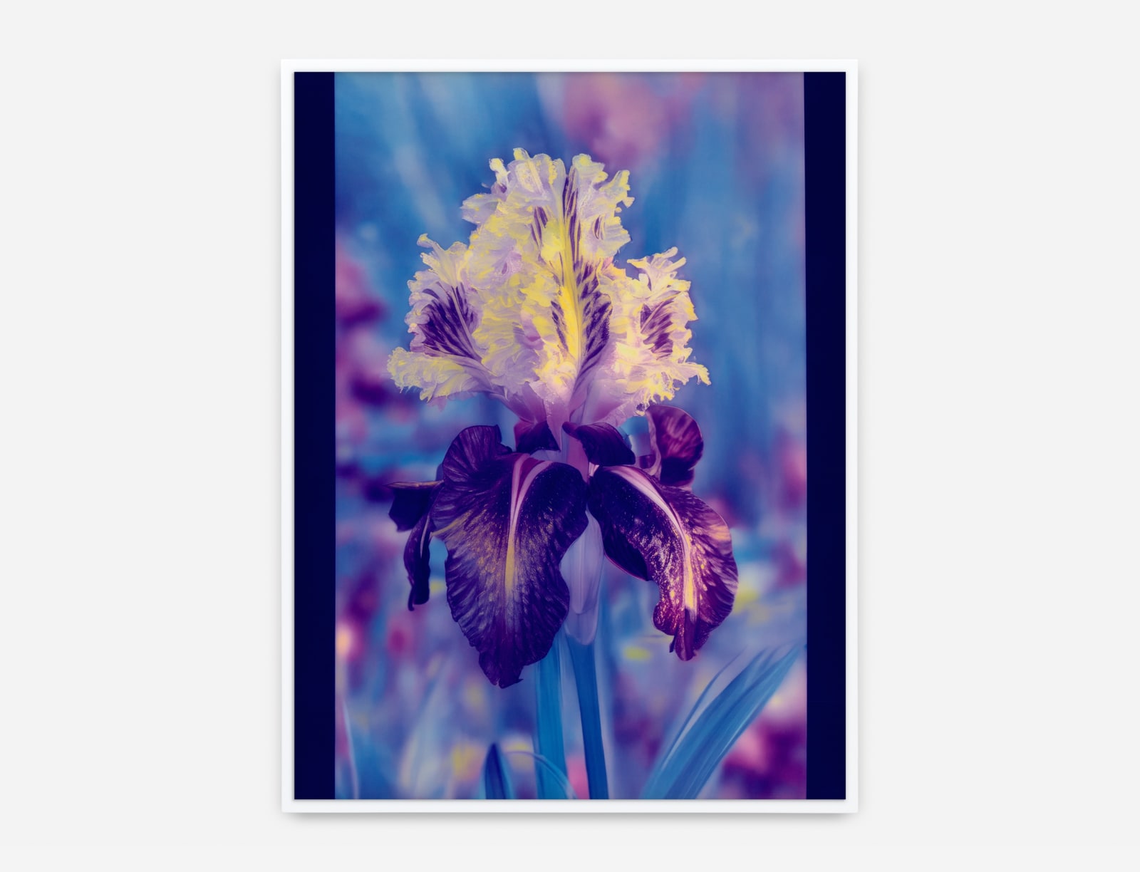 Lisa Oppenheim's photography work.