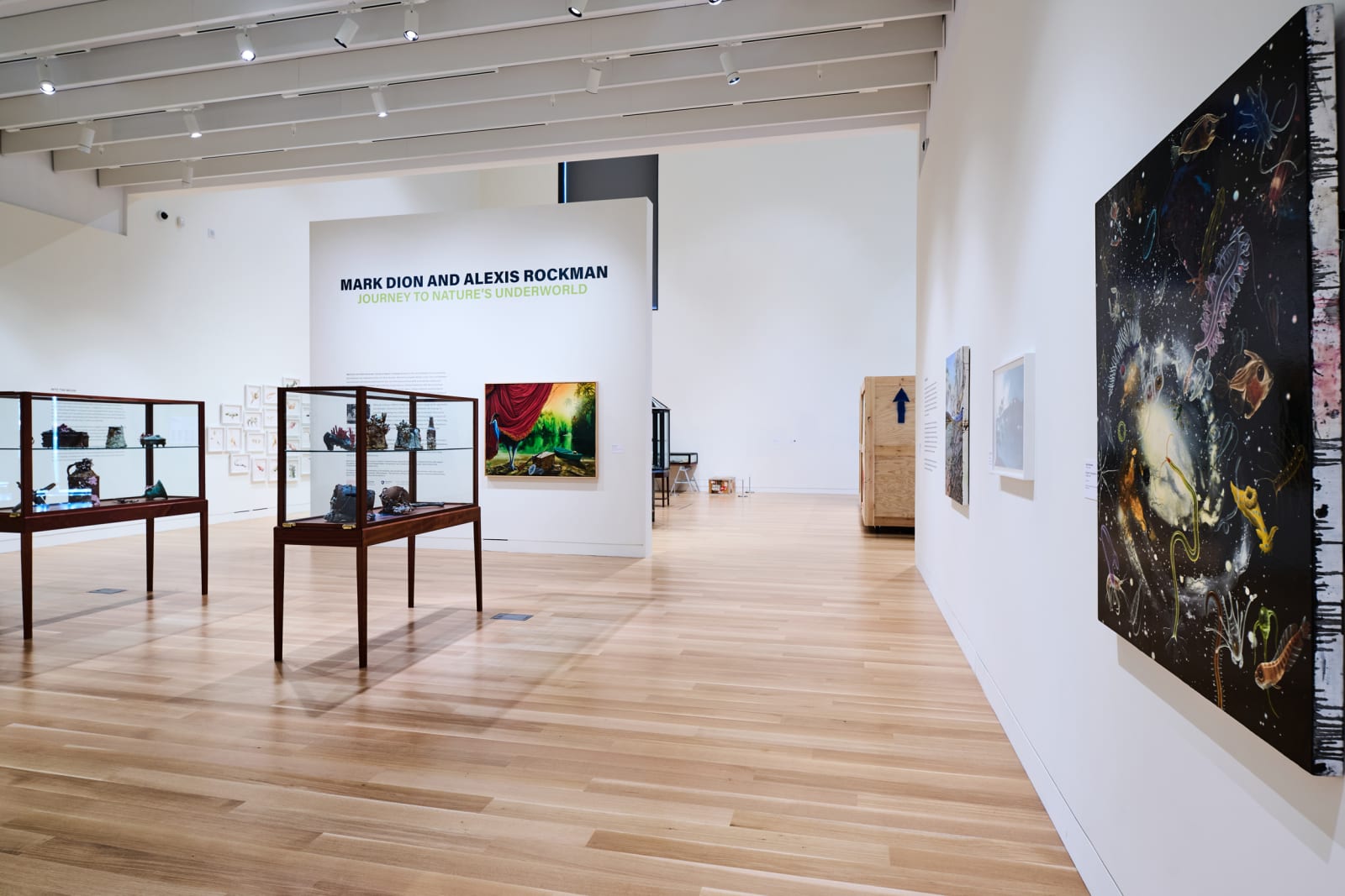 Installation view at Palmer Museum of Art, Penn State, University Park, PA, 2025. Photo by Steve Tressler.