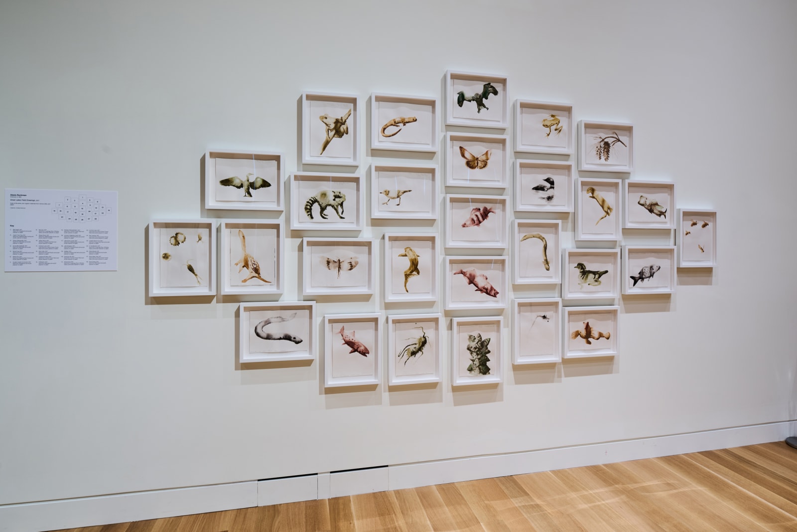 Installation view at Palmer Museum of Art, Penn State, University Park, PA, 2025. Photo by Steve Tressler.