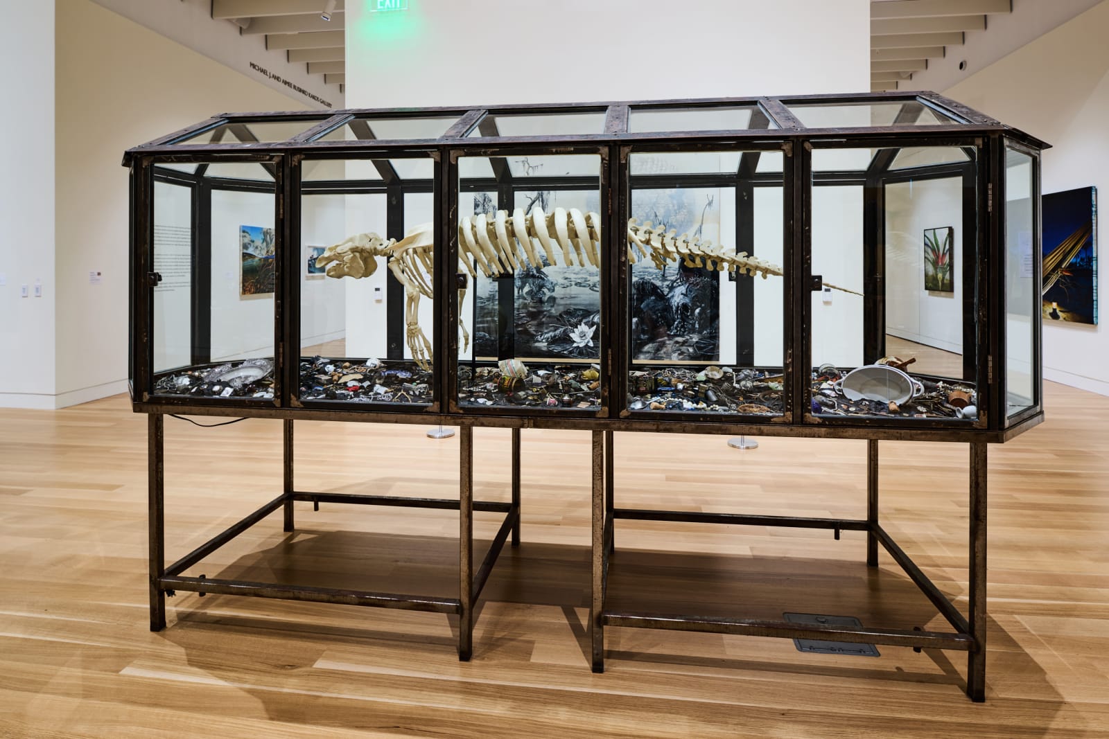 Installation view at Palmer Museum of Art, Penn State, University Park, PA, 2025. Photo by Steve Tressler.